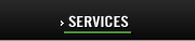 Chicago Limo Service - Services page